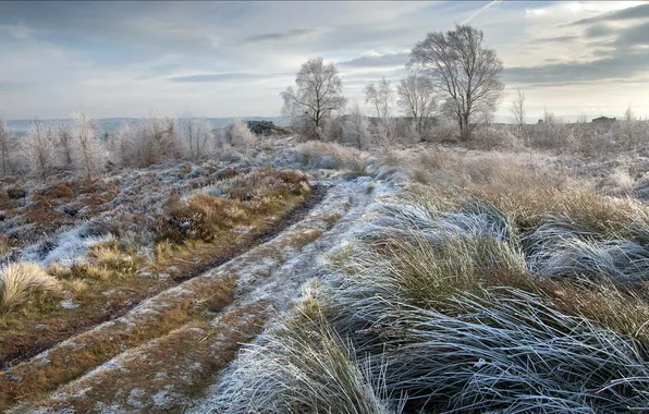 Иней, дорога, поле