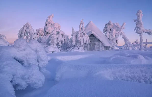 Картинка зима, снег, деревья, избушка, сугробы, домик, хижина, Финляндия