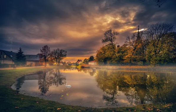 Картинка осень, озеро, лебедь