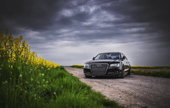 Картинка Audi, Clouds, Grass, Black, Gray