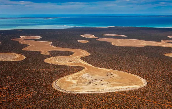 Картинка Австралия, Francois Peron National Park, гипс