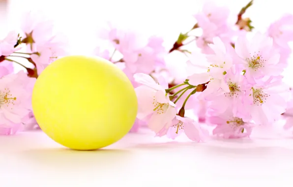 Картинка цветы, праздник, пасха, вишневая веточка, желтое яичко