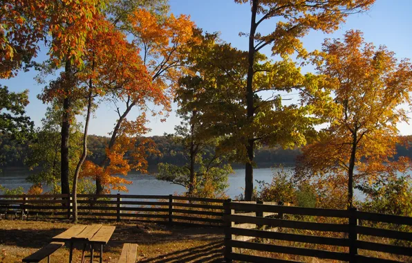 Картинка осень, деревья, озеро, Природа, беседка, trees, nature, autumn
