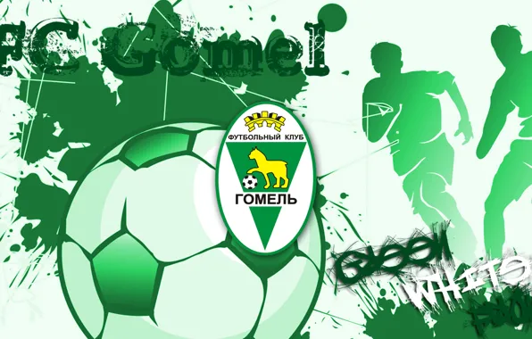 Football, fanart, belarus, беларусь, fc gomel, гомель, gomel
