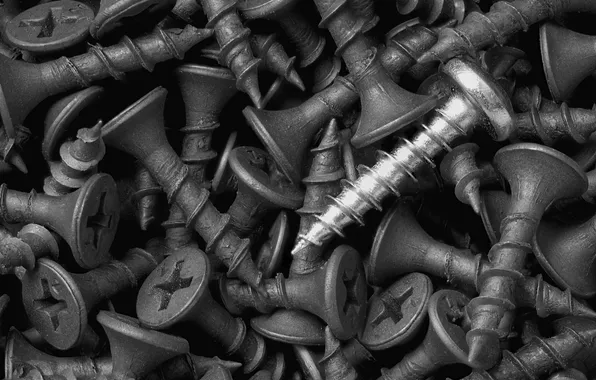 Metal, different, screws