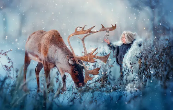 Картинка зима, снег, радость, природа, животное, мальчик, олень, колокольчики