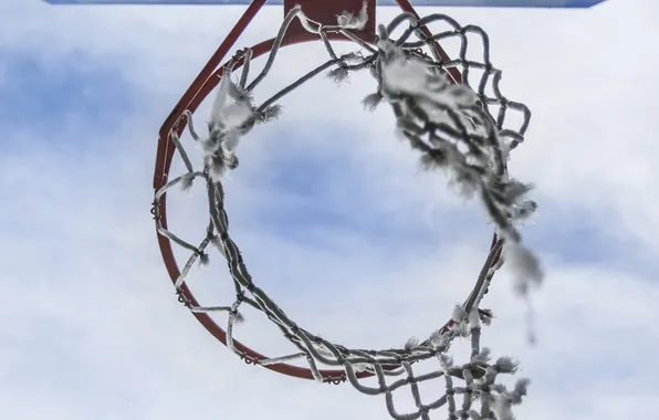 Спорт, кольцо, щит