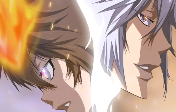 Бьякуран, Katekyo Hitman REBORN, Учитель мафиози Реборн, Савада Тсунаёши