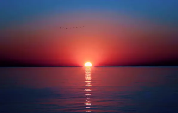 Море, небо, солнце, закат, птицы, отражение