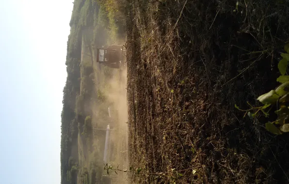Forest, hills, agriculture