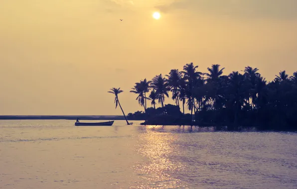 Солнце, пальмы, берег, лодка, India, Kerala