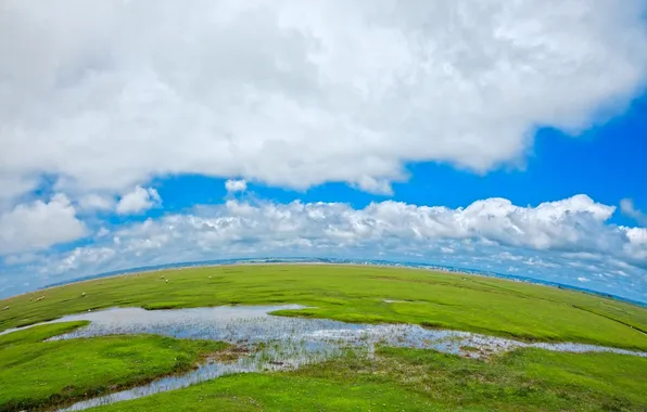 Картинка трава, вода, облака, природа, фото, луг, речка