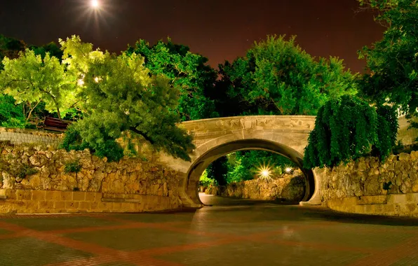Картинка деревья, ночь, мост, парк
