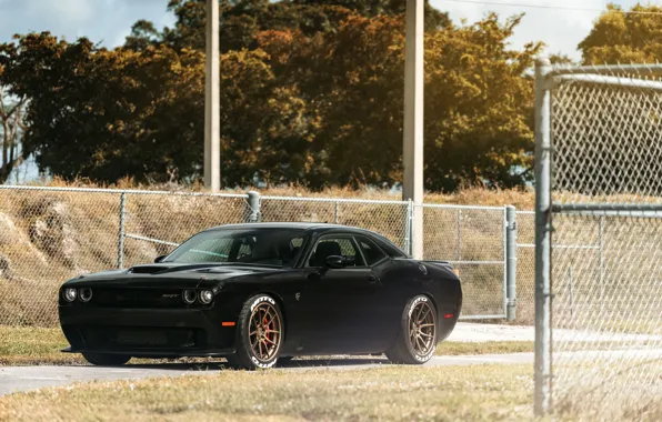 Dodge, Challenger, Series, Hellcat, SRT, Track, Spec, ADV5.0