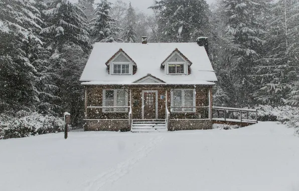 Картинка Зима, Домик, House, Winter, Снегопад, Зимний Лес, Snowfall, Winter Forest