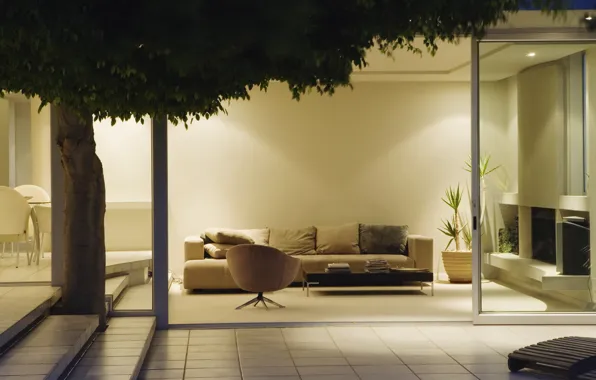 Картинка дизайн, комната, диван, дерево, листва, плитка, растение, интерьер