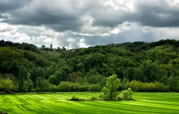 Зелень, поле, трава, деревья, тучи, холмы, Италия, Lugagnano Val dArda
