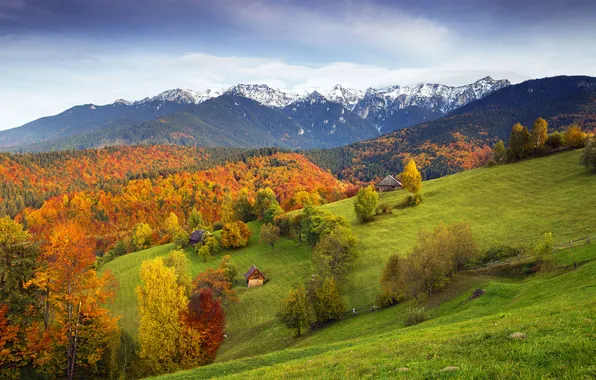 Осень, лес, горы, природа