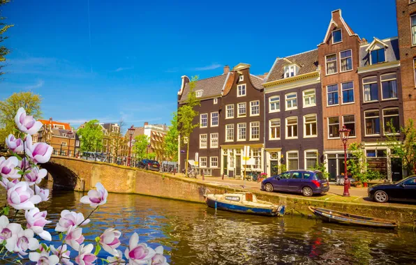 Картинка мост, река, весна, Амстердам, цветение, bridge, blossom, Amsterdam