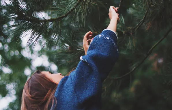 Картинка девушка, иголки, дерево, свитер