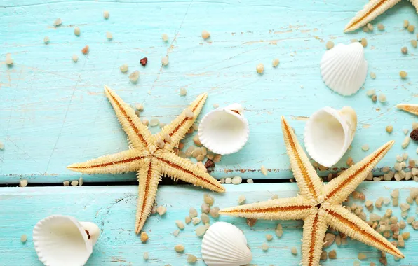 Ракушки, морская звезда, wood, marine, still life, starfish, seashells