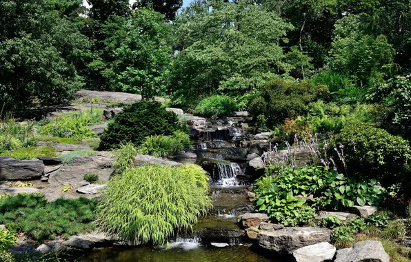Картинка природа, пруд, парк, ручей, камни, фото, Нью-Йорк, США