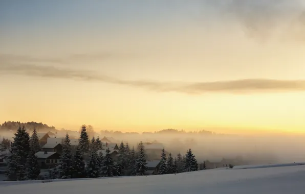 Картинка зима, лес, снег, туман, рассвет, дома, утро, ели