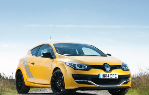 Картинка Renault, Megane, 275, '2014, Trophy-R, R.S.