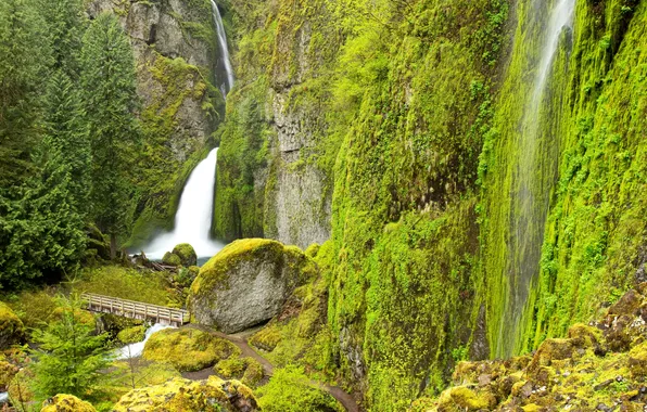 Зелень, деревья, ручей, камни, скалы, водопад, мох, США