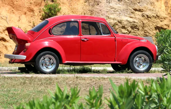 Картинка машина, жук, автомобиль, красная, кусты, Фольксваген, Volkswagen Beetle