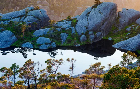 Картинка Норвегия, Согн-ог-Фьюране, шотландские сосны, остров Сула