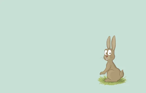 Картинка животное, заяц, минимализм, кролик, rabbit, ухи