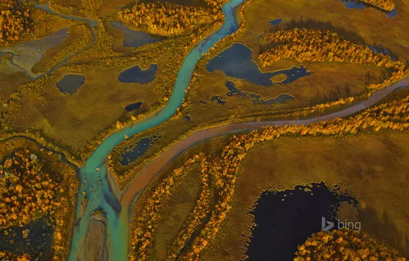 Осень, деревья, река, краски, панорама, Швеция, Sarek National Park