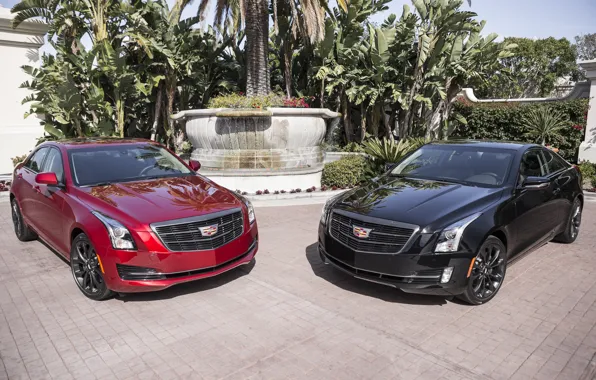 Cadillac, два, ATS