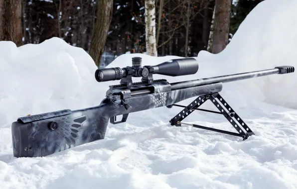Картинка Снег, Сумрак, Снайперская винтовка Лобаева, СВЛК-14