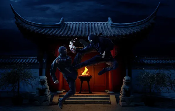 Картинка fantasy, situations, ninja