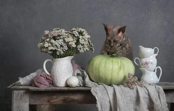 Кошка, кот, цветы, поза, стол, букет, посуда, ткань