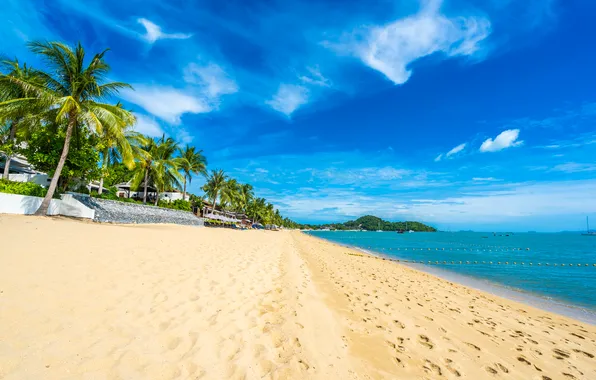 Песок, море, пляж, лето, небо, пальмы, summer, beach
