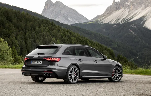 Audi, универсал, пятидверный, 2019, A4 Avant, S4 Avant