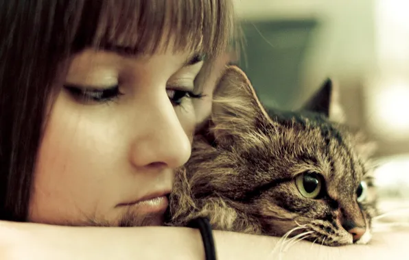 Картинка girl, photo, eyes, mood, Cat, animal, look, feeling