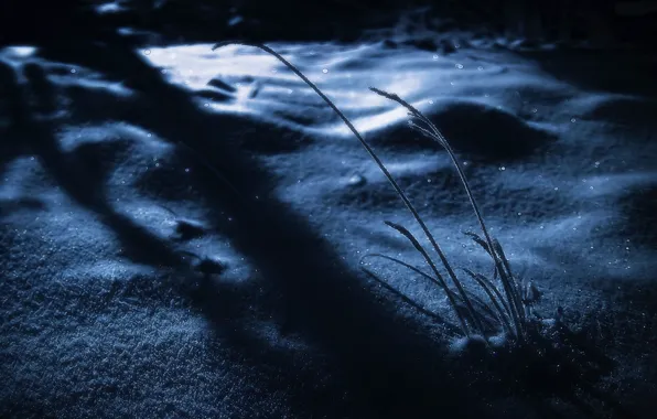 Картинка зима, трава, снег, ночь, искры, тени