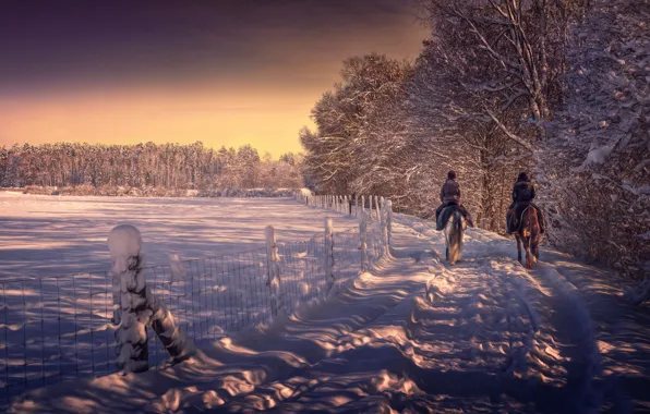 Зима, снег, обработка, конная прогулка
