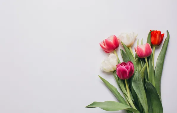 Цветы, букет, colorful, тюльпаны, wood, pink, flowers, romantic