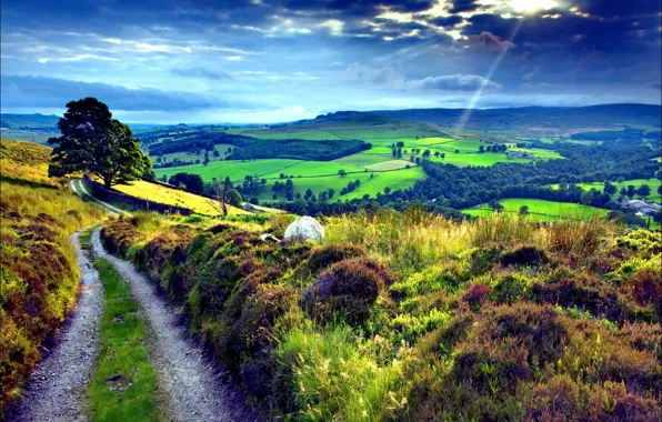 Картинка дорога, поле, природа, холмы, ландшафт