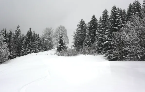 Зима, Снег, Мороз, Winter, Frost, Snow, Сугробы