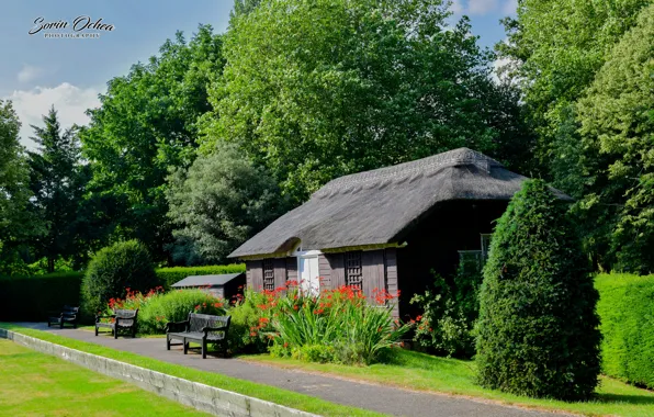 House, grass, village, old house, bungalow