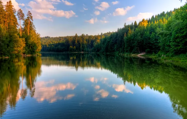 Картинка лес, вода, озеро, отражение