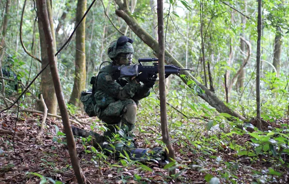 Картинка оружие, солдат, Singapore Army