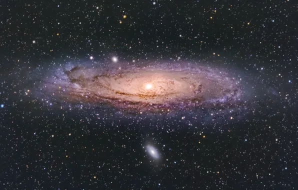 Space, stars, andromeda galaxy