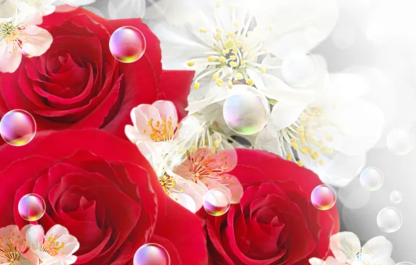 Цветы, пузыри, bubbles, цветочки, flowers, розы красные, roses are red